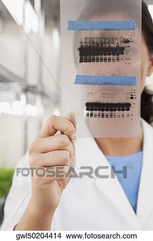 Picture - Female scientist examining a report in a laboratory. Fotosearch