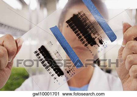 Female scientist examining a report in a laboratory View Large Photo Image Stock Image - Female scientist examining a report in a laboratory. Fotosearch
