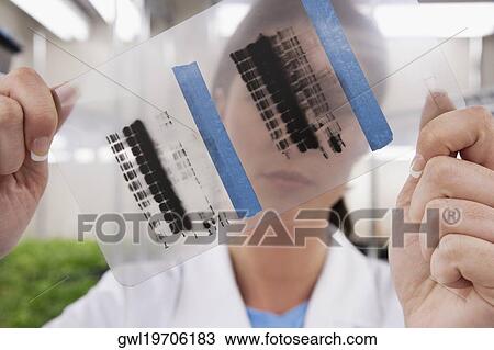 Female scientist examining a report in a laboratory View Large Photo Image Stock Image - Female scientist examining a report in a laboratory. Fotosearch