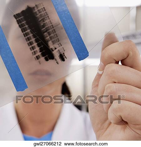 Female scientist examining a report in a laboratory View Large Photo Image Stock Image - Female scientist examining a report in a laboratory. Fotosearch