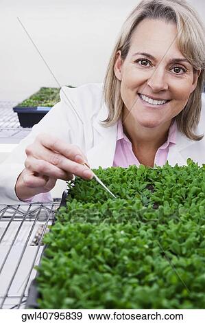 Stock Photo - Female scientist researching on plants in a laboratory. Fotosearch