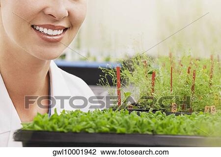 Female scientist smiling near plants in a laboratory View Large Photo Image Stock Image - Female scientist smiling near plants in a laboratory. Fotosearch