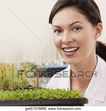 Female scientist smiling near plants in a laboratory View Large Photo Image Stock Photograph - Female scientist smiling near plants in a laboratory. Fotosearch
