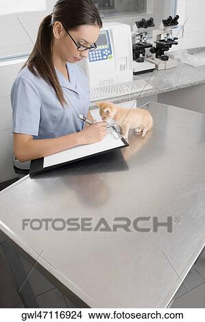 Female vet writing a prescription View Large Photo Image Picture - Female vet writing a prescription. Fotosearch