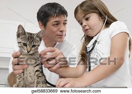 Girl with a vet examining a cat View Large Photo Image Stock Photo - Girl with a vet examining a cat. Fotosearch