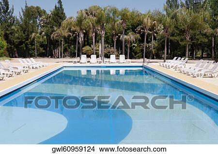 Picture - Lounge chairs at the poolside. Fotosearch