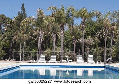Stock Photo - Lounge chairs at the poolside. Fotosearch