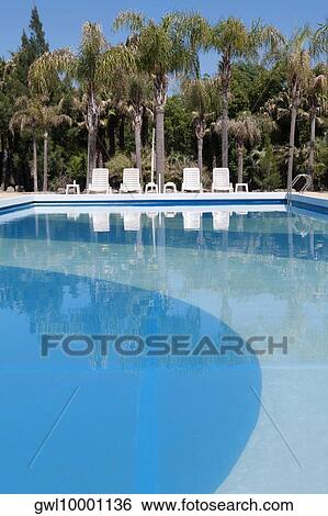 Lounge chairs at the poolside View Large Photo Image Stock Photograph - Lounge chairs at the poolside. Fotosearch
