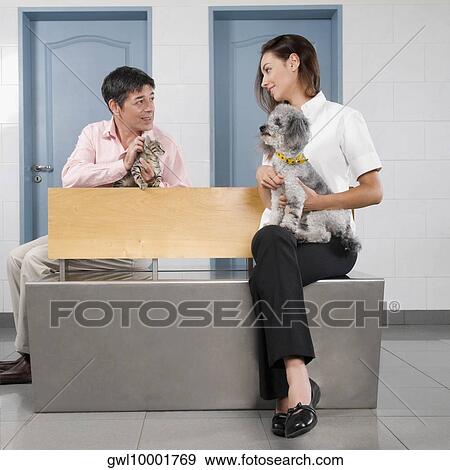Man and a woman carrying their pets in a veterinary hospital View Large Photo Image Stock Photo - Man and a woman carrying their pets in a veterinary hospital. Fotosearch