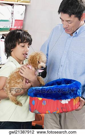 Man and his son shopping a pet bed in a supermarket View Large Photo Image Stock Image - Man and his son shopping a pet bed in a supermarket. Fotosearch