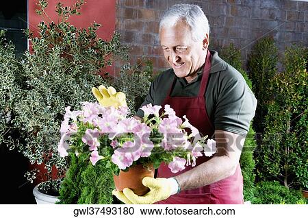 Man holding a potted plant in a greenhouse View Large Photo Image Stock Image - Man holding a potted plant in a greenhouse. Fotosearch