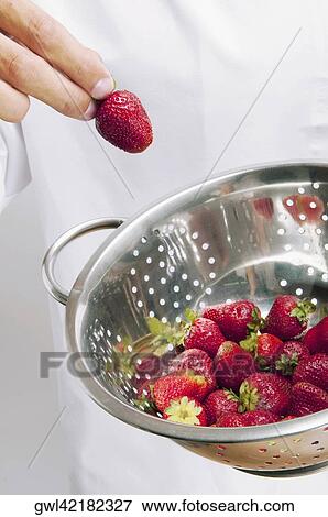 Man holding strawberries in a colander View Large Photo Image Stock Photo - Man holding strawberries in a colander. Fotosearch