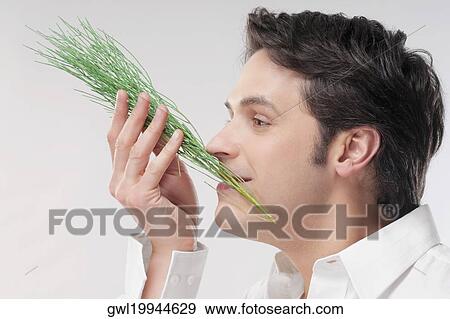 Man smelling aroma herbs View Large Photo Image Stock Photo - Man smelling aroma herbs. Fotosearch