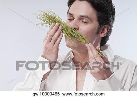 Man smelling aroma herbs View Large Photo Image Stock Photography - Man smelling aroma herbs. Fotosearch