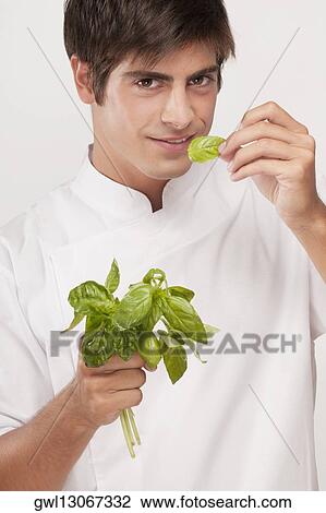 Man smelling basil leaves and smiling View Large Photo Image Stock Image - Man smelling basil leaves and smiling . Fotosearch