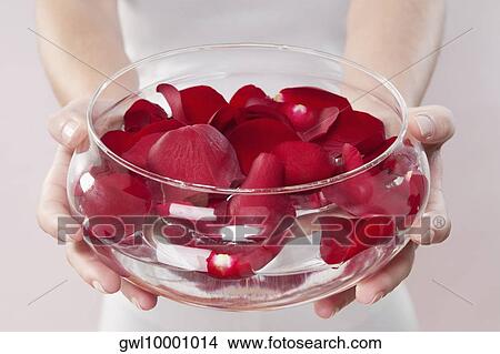 Mid section view of a woman holding a bowl of rose petals View Large Photo Image Picture - Mid section view of a woman holding a bowl of rose petals. Fotosearch