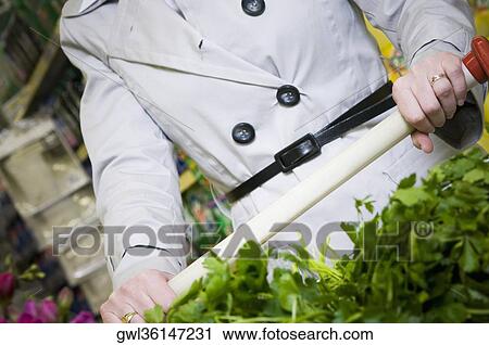 Mid section view of a woman shopping in a supermarket View Large Photo Image Stock Image - Mid section view of a woman shopping in a supermarket. Fotosearch