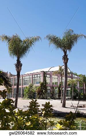 Stock Image - Palm trees at a tourist resort. Fotosearch