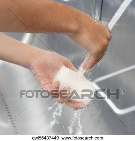 Person washing hands View Large Photo Image Stock Photo - Person washing hands. Fotosearch