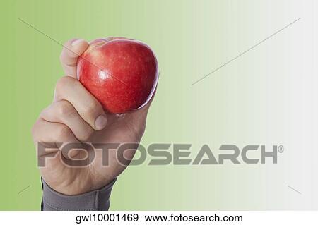Person's hand holding an apple View Large Photo Image Stock Photo - Person's hand holding an apple. Fotosearch