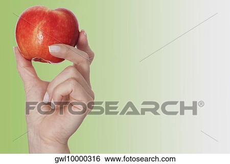 Person's hand holding an apple View Large Photo Image Stock Photograph - Person's hand holding an apple. Fotosearch