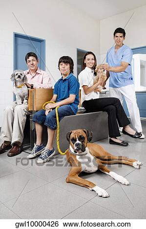 Pets with their owners in a veterinary hospital View Large Photo Image Stock Photograph - Pets with their owners in a veterinary hospital. Fotosearch