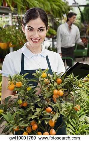 Portrait of a woman in a greenhouse View Large Photo Image Stock Photo - Portrait of a woman in a greenhouse. Fotosearch