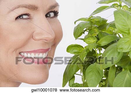Stock Photo - Portrait of a woman with basil leaves. Fotosearch