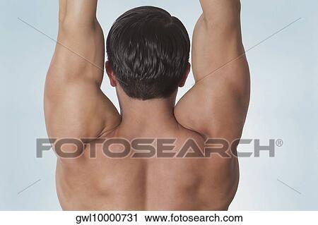 Rear view of a man exercising View Large Photo Image Stock Image - Rear view of a man exercising. Fotosearch