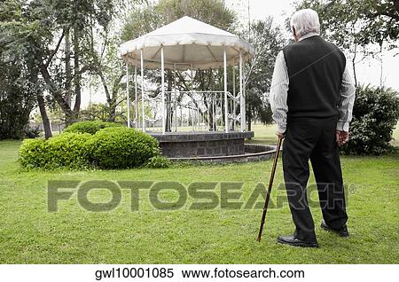 Rear view of a man standing with a cane in a garden View Large Photo Image Stock Photography - Rear view of a man standing with a cane in a garden. Fotosearch