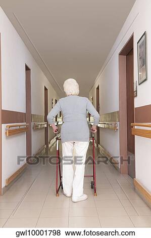 Rear view of a woman walking with the help of walker View Large Photo Image Stock Photo - Rear view of a woman walking with the help of walker. Fotosearch