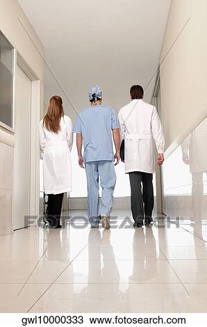 Rear view of three doctors walking in a hospital corridor View Large Photo Image Stock Image - Rear view of three doctors walking in a hospital corridor. Fotosearch