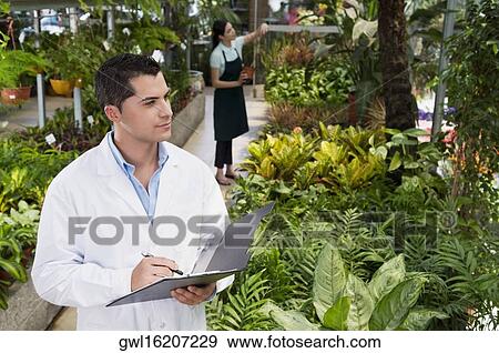 Scientist examining plants in a greenhouse View Large Photo Image Stock Photo - Scientist examining plants in a greenhouse. Fotosearch