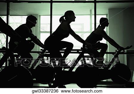 Silhouette of four people working out on exercise bikes in a gym View Large Photo Image Stock Photograph - Silhouette of four people working out on exercise bikes in a gym. Fotosearch