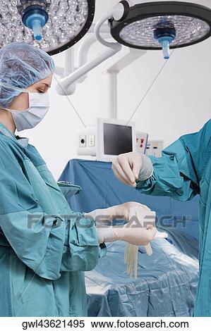 Surgeon putting on surgical gloves View Large Photo Image Stock Photography - Surgeon putting on surgical gloves. Fotosearch