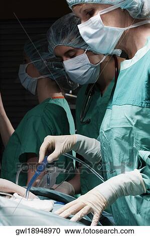 Stock Image - Surgeons performing a surgery in an operating room. Fotosearch
