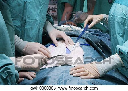 Surgeons performing a surgery in an operating room View Large Photo Image Stock Photography - Surgeons performing a surgery in an operating room. Fotosearch