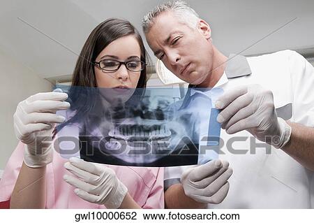 Two dentists examining an X-Ray report View Large Photo Image Stock Image - Two dentists examining an X-Ray report. Fotosearch