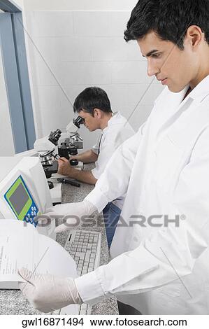 Two researchers working in a laboratory View Large Photo Image Picture - Two researchers working in a laboratory. Fotosearch