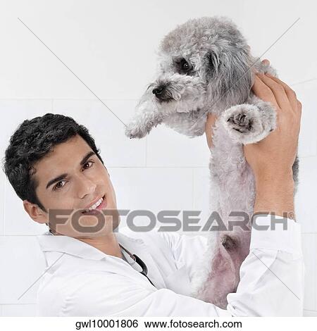 Stock Photograph - Vet carrying a dog. Fotosearch