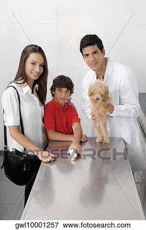 Vet examining a dog View Large Photo Image Stock Photo - Vet examining a dog. Fotosearch