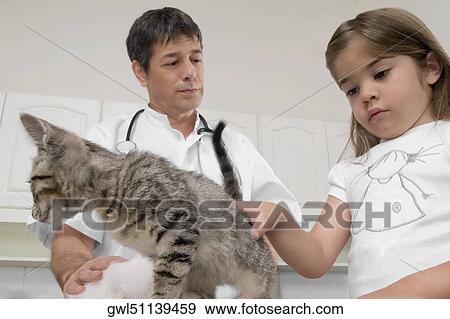 Vet examining cats with a girl looking serious beside him View Large Photo Image Stock Photo - Vet examining cats with a girl looking serious beside him. Fotosearch