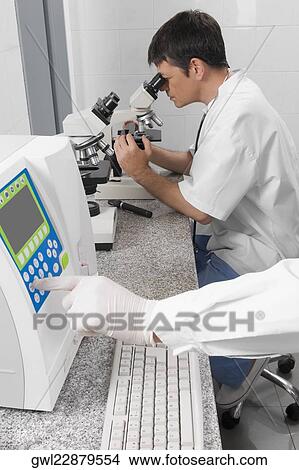 Vet looking into a microscope View Large Photo Image Picture - Vet looking into a microscope. Fotosearch