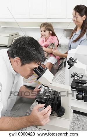 Vet looking into a microscope View Large Photo Image Stock Image - Vet looking into a microscope. Fotosearch