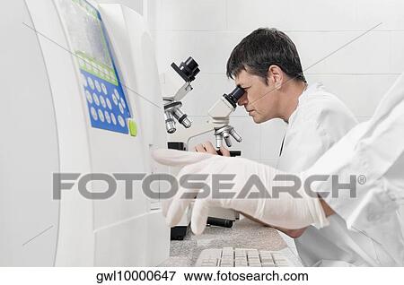 Stock Photo - Vet looking into a microscope. Fotosearch
