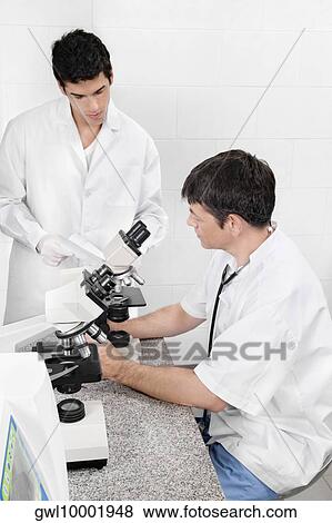 Vet looking into a microscope View Large Photo Image Stock Photo - Vet looking into a microscope. Fotosearch