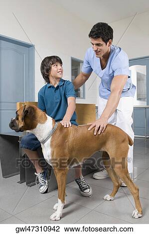Vet talking to a boy and stroking a dog View Large Photo Image Stock Image - Vet talking to a boy and stroking a dog. Fotosearch