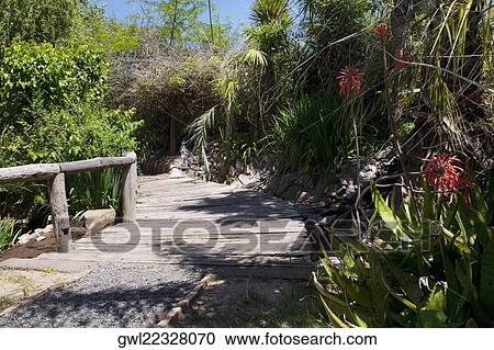 Walkway in a park View Large Photo Image Stock Image - Walkway in a park. Fotosearch