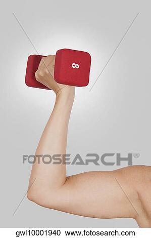 Woman exercising with a dumbbell View Large Photo Image Stock Image - Woman exercising with a dumbbell. Fotosearch