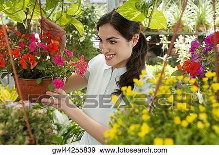 Woman holding a hanging basket in a greenhouse View Large Photo Image Stock Photo - Woman holding a hanging basket in a greenhouse. Fotosearch